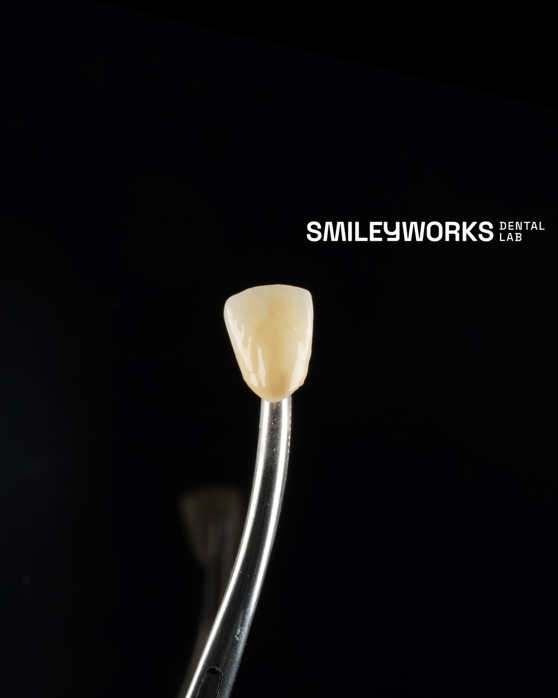Single Crowns. Crafted with Precision.